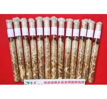 天麻蜜環(huán)菌母種、原種、栽培種