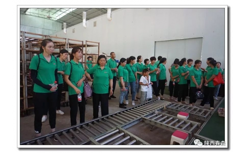 凝心聚力 春森菌業(yè)舉行考察及觀光活動(dòng)