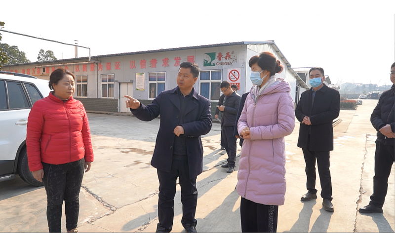 西鄉(xiāng)縣委副書記、縣長(zhǎng)王亞珍調(diào)研農(nóng)業(yè)產(chǎn)業(yè)發(fā)展工作